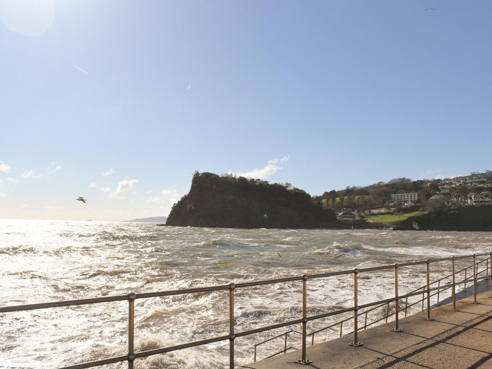 Primrose Cottage Teignmouth Εξωτερικό φωτογραφία